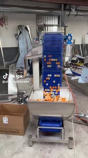 Flexible Chain Conveyor Solutions for Your Factory