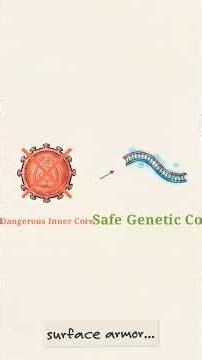 How Genetic Engeneering Builds Recombinant Vaccines