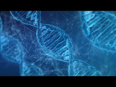 Arcturian 12 Strand DNA Activation