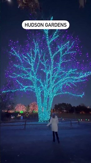 Looking for fun and festive holiday events near Denver? We’ve got the list for you (SAVE for