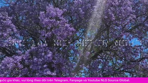 🌟 Support NLG Source Global: https://www.paypal.com/ncp/payment/CFYLN2JCELW98 👉 Like 👍 and follow the NLG Source Global Facebook page, and subscribe to the NLG Source Global YouTube channel! Connect with us on Social Media: ❤️ Facebook: facebook.com/NLGSourceGlobal ❤️ YouTube: youtube.com/@NLGSourceGlobal13 Connect with us: 🌐 Website: nlgsource.com ☎️ Hotline USA: 1 858 398 5555 (Available via Telegram) 📲 Telegram USA Support: t.me/NLGEnergyUniversityUSA 📧 Email: help@nlgsource.com | NLG S