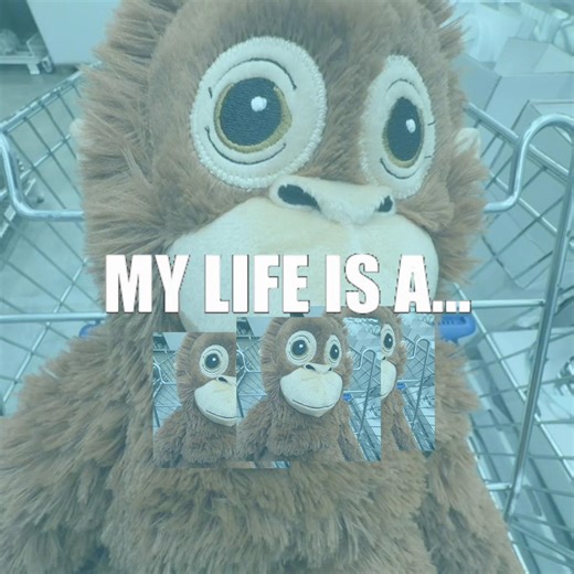 PARTY 🥳🪩 #monkey #party