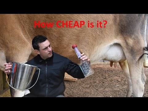 How YOU can Build a Milking Machine for LESS than $200