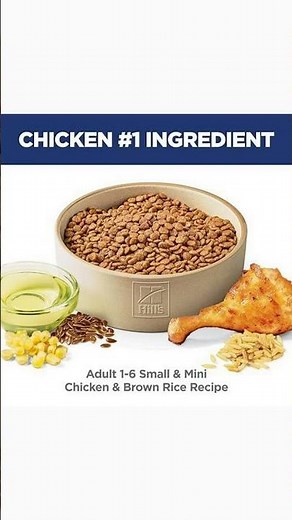 3 Reasons Your Small Dog Will Love Hill's Science Diet