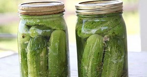 Best Refrigerator Pickles