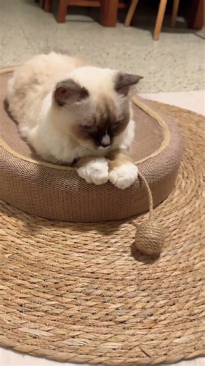 Finally Ginamit Niya Na Bagong Scratch Board😍 #youtube