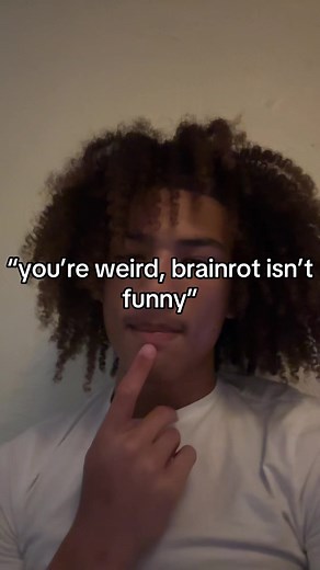 Brainrot Videos: Understanding the Humor