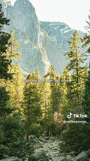 Sad Boy Songs on TikTok