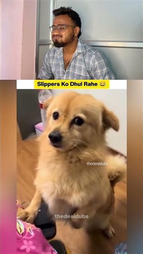 Is dog ka logic sun kar hasi nahi rukegi! 🤣🐕 #shortsfeed #funny #memes #animals