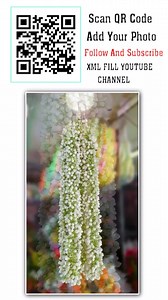 MR EDITING STUDIO OFFICIAL on Instagram: "Scan QR Code Add Your Photo #editing #videoedits #video #edit #viral #kannada #trending"