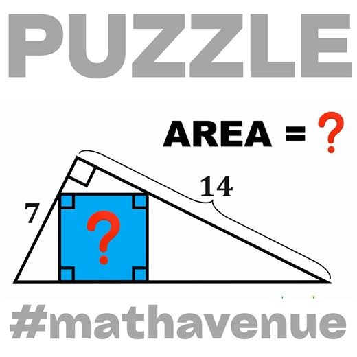 47K views · 306 reactions | AREA OF THE BLUE SQUARE | Math Avenue : Learn Math By Examples | Facebook