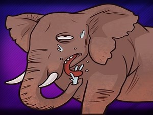 ELEPHANT JOUSTING - Nonsensical Far Cry 4 Co-op Moments