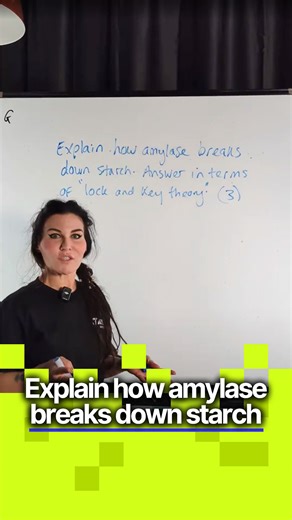 GCSE Biology - Explain how amylase breaks down starch #myedspace #myedspacebiology #biology #gcse #Science | Myedspace Biology