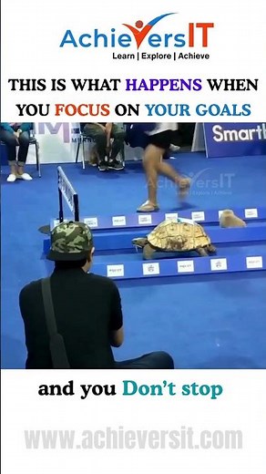 Stay Focused on Your Goals 🎯 Success Comes to Those Who Never Quit AchieversIT