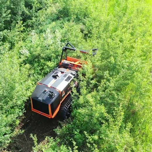 Compact, remote controlled FAE Tracked Carrier with Forestry Mulcher