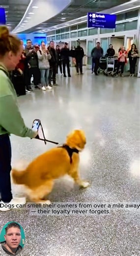 The Airport Heart Explosion. | Jess Funny Reels