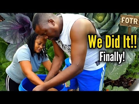 How To Make The BEST DIY 24/7 All Purpose Fertilizer Drum/Filtration and Purification System