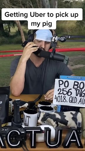 Getting Uber driver to pick up my pet pig and take to butcher #martyandmichael #podcast #fullyactual #fullyactualpodcast #prankcall