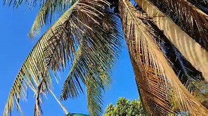 SUMMER FUN. The pristine waters of the Abagatanen white sand beach in Agno town, Pangasinan. It is one of the many white sand beaches in the province's western part. Other activities in the area includes banana boat ride and kayaking. There are also cave-like rock formations that could be explored by tourists. | via Hilda Austria | Philippine News Agency