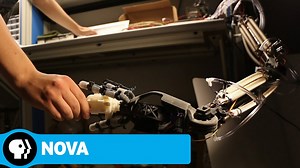 NOVA | Softer, More Human Robots | PBS | WPBS | Serving Northern New York and Eastern Ontario