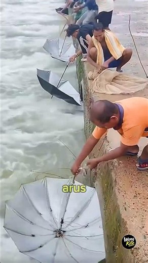 The Most Unique Ways to Catch Fish Ever!