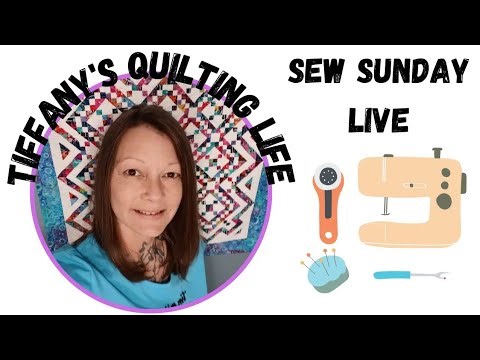 Sew Sunday 4/13/25 Lets Sew Twinsie Quilts