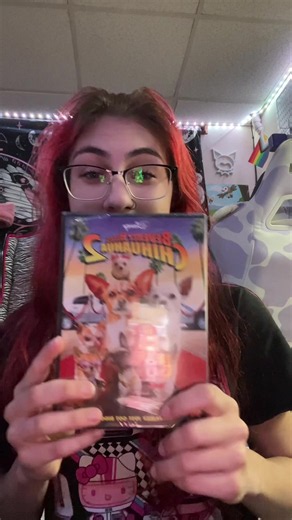 Thrift DVD Haul: Surprising Finds for Your DVD Collection
