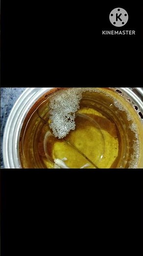 betta breeding pair selection in tamil #bettabreeding #bettafish