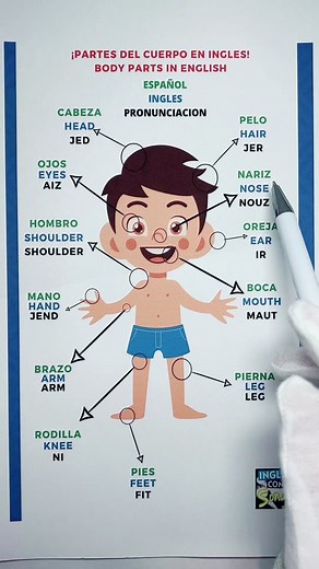 APRENDE LAS PARTES DEL CUERPO Y SU PRONUNCIACION CORRECTA #aprendoinglescantando #partesdelcuerpoeningles #ingles #english #aprendeinglesentiktok #aprendeinglesentiktok #englishteacher