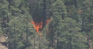 Reservoir Fire caused by abandoned campfire