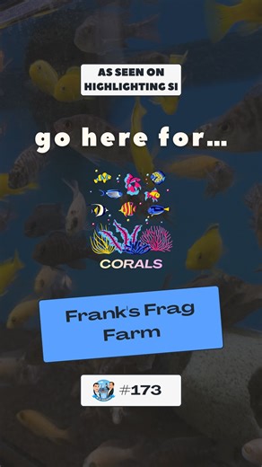 Highlighting SI on Instagram: "Episode 173! � 🪸 Frank’s Frag Farm | Reef Life Built the Right Way Frank’s Frag Farm is a Staten Island favorite for saltwater and reef aquarium enthusiasts who care about quality and consistency. Specializing in healthy coral frags and reef safe livestock, this is a spot built by someone who actually lives the hobby, not just sells to it. Whether you are starting your first reef tank or adding statement pieces to an established setup, Frank’s Frag Farm focuses on