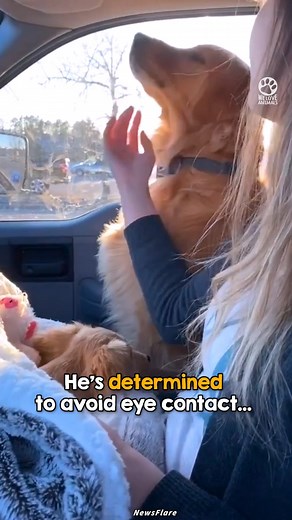 400K views · 10K reactions | He's so jealous  | We Love Animals | Facebook