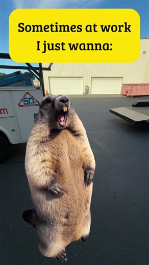 Work Memes for Stress Relief