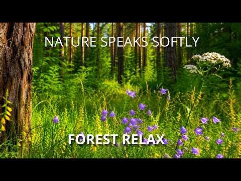 Green Forest Stillness with Birds and Soft Summer Light 4K