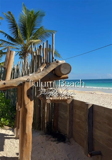 Gym of my dreams 🌊 Save this for your next Tulum trip.✨ Insider tip: free access if you stay at Ahau Tulum (~5 min. beach walk).🏝️ #tulum #tulummexico #tulumbeach #tulumjunglegym #travel