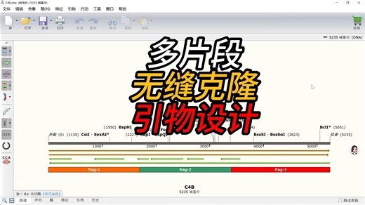 10 分钟学会！SnapGene 多片段无缝克隆引物设计，让你的实验快人一步