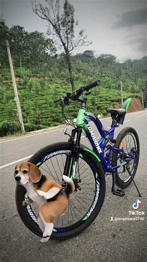 Rakwana kolla 😎New lolipop 🔥🍭