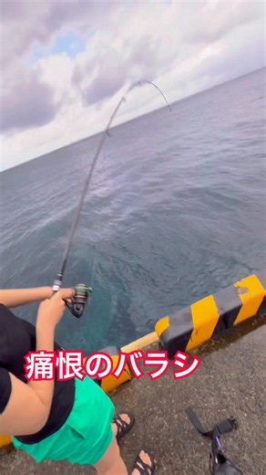 巨大魚に逃げられた🐟 #釣り #ブダイ #夏