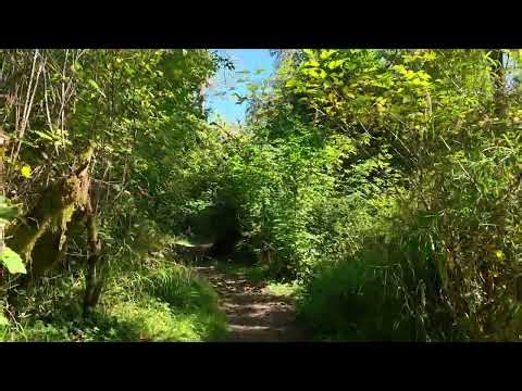 River Edge Trail Schafer State Park Part 1 Sept 2025