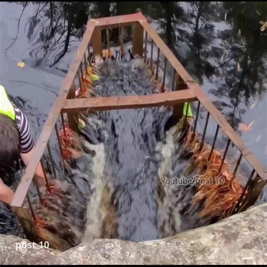 11K views · 158 reactions | Part 2 Unclogging Trash Rack, Watch As the Surface Clears | Post 10 | Facebook