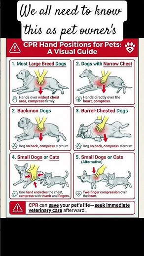 cpr for pet's guide. interesting #petlover #petsafety #cpr#pets #petcaretips#petcarecpr #petcprtips