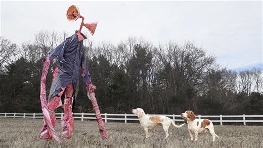 Dogs freak out at giant Siren Head in real life