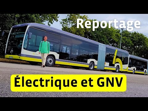 Bibus Report 100% Electric and BioNGV More Environmentally Friendly