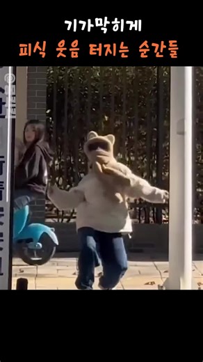 가장 기가막히게 웃긴 순간들 모음