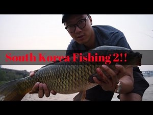 Intro to fishing in Korea 2 ( How to catch a carp in Han river, Urban fishing)