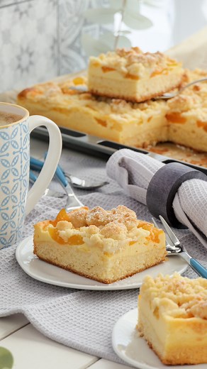 Streuselkuchen mit Vanille-Quark-Creme, Aprikosen und Butterstreusel 🤤 | Nicoles Zuckerwerk
