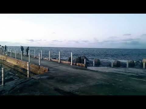 Fishing in the Japan Sea | Coastal Life, Anglers, and Scenic Waterfront Views