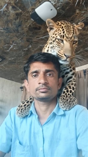 Tere bina kya 😱🤗 #youtubeshorts #shortsfeed #song #shorts #animals