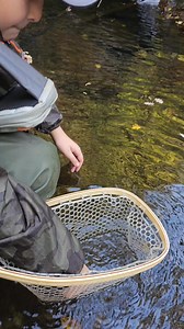 #fishingguideinsicily #fishingtrip #wildlife #followforfollowback #visitsicily #fishingguide #sicily #flyfishingphotography #fishingcharter #flyfishinglife @fan più attivi | Fly Fishing Sicily outdoor experience