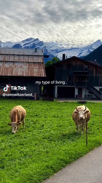 Exploring the Serene Beauty of Switzerland: Nature, Travel, and Lifestyle